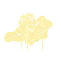 Lotus flower hand drawn golden lines