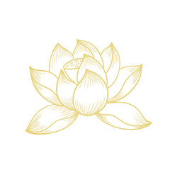 Lotus flower hand drawn golden lines