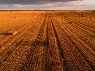 Fototapete Rund Tiefes Orange Golden field with hay bales at sunset from drone perspective  © oticki