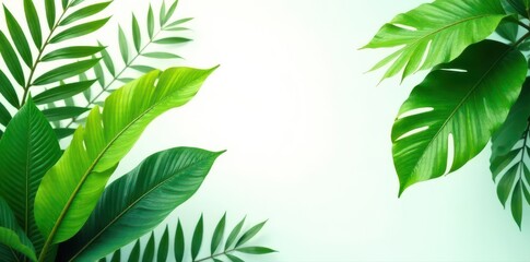 Obraz premium Lush green tropical foliage, vibrant leaves, branch details White background, copy space , illustration, plants, green