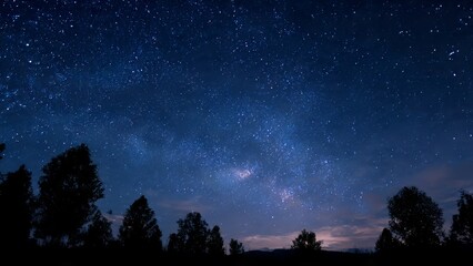 Fototapeta premium A clear night sky filled with countless stars and the faint glow of the Milky Way above silhouetted trees