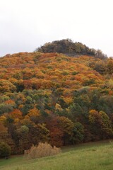 Fototapeta premium view of a colorful hill in autumn
