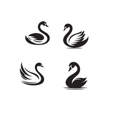 Fototapeta premium swan black and white animal silhouette vector