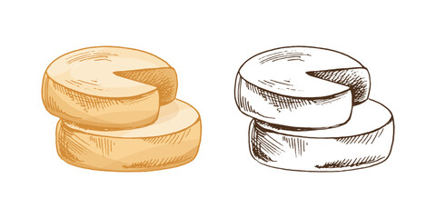Gouda cheese wheels. Ink sketch isolated on white background. Hand drawn vector illustration. Vintage style stroke drawing.