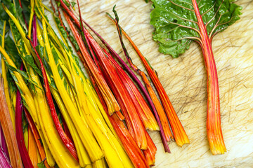 Colorful chard in restaurant kitchen raw
