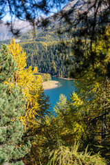 Sneakpeak of lake Silvaplana