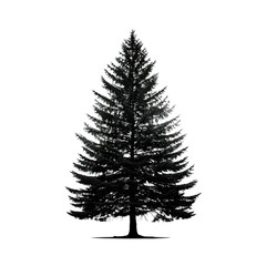 Lone pine tree silhouette isolated on transparent background