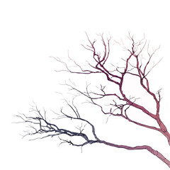 Elegant Tree Branch with Gradient Touch
