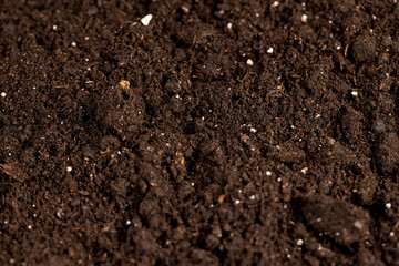 details of brown fertile soil for growing seedlings or use to improve the soil quality in the field, fertile soil mixed with white pieces of perlite to improve the quality of soil
