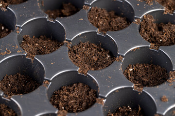 a plastic container filled with fertile soil with a large number of round holes for seedlings, a black plastic tray for seedlings of agricultural or other plants filled with soil