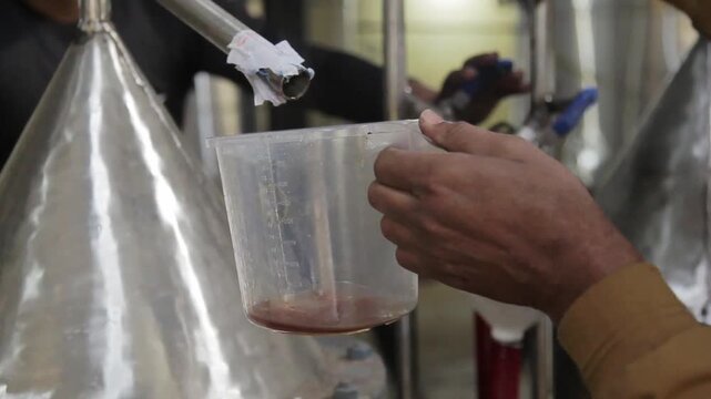 Essential oil being collected in a pot from an industrial steam distillation unit
