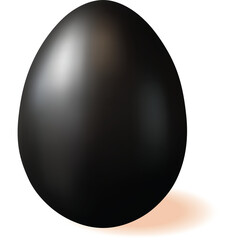 Glossy Black Egg with Orange Shadow Isolated on White Background Smooth Surface 3D Render