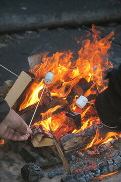 Grilling marshmallows over an open fire in the wilderness while camping