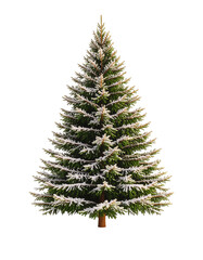 Snow Covered Christmas Tree PNG Clipart &ndash; Festive Holiday Decor, Printable Wall Art, Digital Download