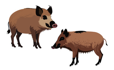 猪ベクターイラスト