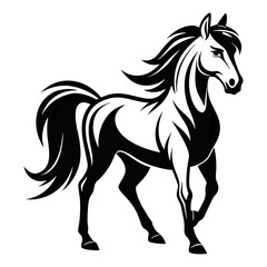 Obraz premium Majestic equine creature in black and white horse animal