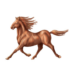 Hand drawn realistic red horse