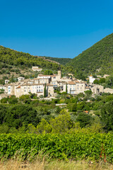 Fototapeta premium Venterol village medieval houses and vineyards in Drome, France