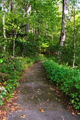 A vertical shot of the Tanawha Trail, an iconic and scenic hiking trail in the North Carolina Blue Ridge Mountains, runs parallel with the Blue Ridge Parkway on the slopes of Grandfather Mountain.