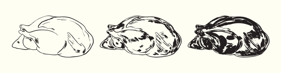 Raw Turkey Vintage Illustration Set