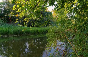 Naturschutzgebiet Altmain zwischen Schweinfurt und Sennfeld, Landkreis Schweinfurt, Unterfranken, Franken, Bayern, Deutschland