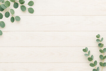 白い木目調の板とユーカリの植物がのぞく背景イメージ