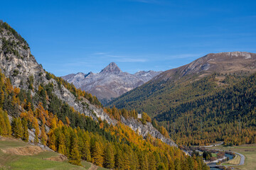 Scenery of Engandin with Piz d'Esan in the background