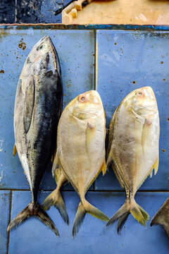 Fresh fishes in the coastal market. Healthy sea food. 