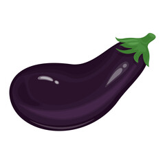 Fresh eggplant vegetable organic food cartoon illustration