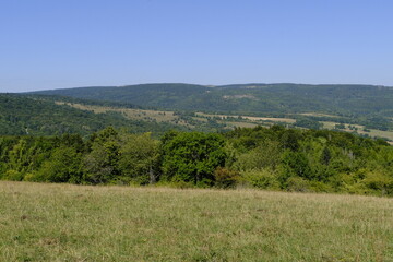 Der Arnsberg im Biosph&auml;renreservat Rh&ouml;n, Unterfranken, Franken, Bayern, Deutschland