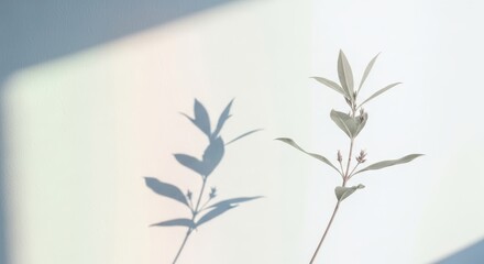 Delicate green plant shadows on soft pastel background  