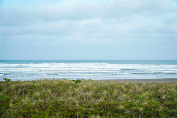 A serene coastal landscape showcasing rolling waves meeting a sandy shore, with lush green vegetation in the foreground under a calming sky. Ideal for nature, travel and vacation themes.
