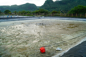 A wide shot of a large pond, potentially for aquaculture, under a cloudy sky with a backdrop of...