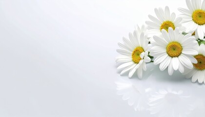 Fototapeta premium Captivating floral arrangement nature setting image type calm environment close-up view beauty concept