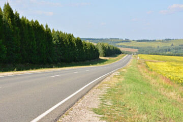 Long winding road through pine trees and yellow sunflower fields under a blue sky
