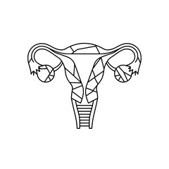 Uterus and Fallopian Tubes Medical Anatomy Line Drawing Icon Illustration