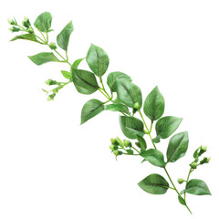 Fototapeta premium Green botanical beauty foliage branch budding sprigs with natural growth lush plant flora artistic