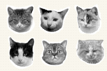 Cat head halftone collage sticker set cutout paper, trendy collection portrait retro y2k pet, funky emoticon animal, pop aesthetic. Meme head with speech bubble. Funny kitty.