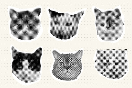 Cat head halftone collage sticker set cutout paper, trendy collection portrait retro y2k pet, funky emoticon animal, pop aesthetic. Meme head with speech bubble. Funny kitty.