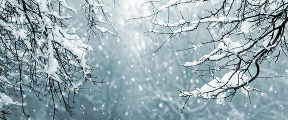 Fantastic winter background: snowy tree branches frame falling snow and bright light, creating a magical, frosty and festive atmosphere for New Year and Christmas design