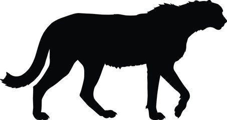 Wild animal silhouette walking gracefully, powerful predator illustration, jungle wildlife art, cheetah or big cat concept design for nature background © MstMuktarinaAkter