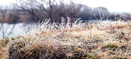Winter landscape with frosted bushes on a rock in sunny weather