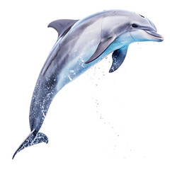 Jumping dolphin silhouette or cartoon illustration isolated on white background for aquatic wildlife vector art