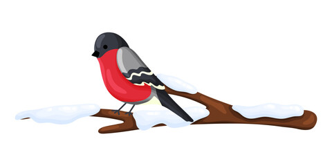 Bullfinch Bird on Snowy Branch Clipart