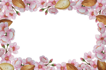 Watercolor almond blossom frame. White background. For your design
