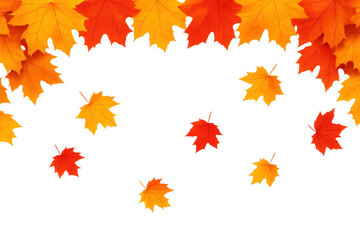 Falling autumn maple leaves creating seasonal border with vibrant orange and yellow colors on transparent background