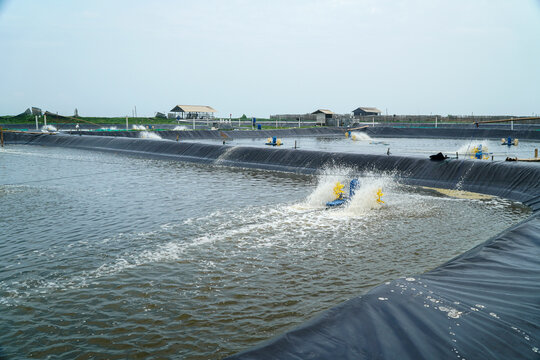 An expansive aquaculture farm showcases aeration in progress, promoting healthy aquatic life and sustainable farming practices under a vast sky. Modern technology aids growth and productivity.