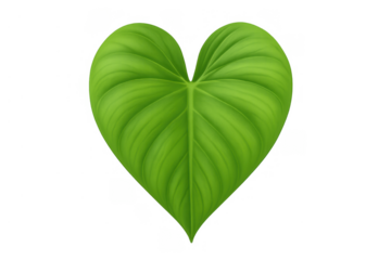 Green heart leaf symbolizing nature love and ecological environment on transparent background