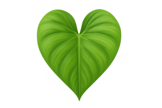 Green heart leaf symbolizing nature love and ecological environment on transparent background