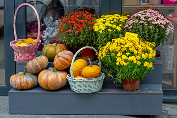 Rattan baskets full with organic fruits and colorful flowers outside on local market